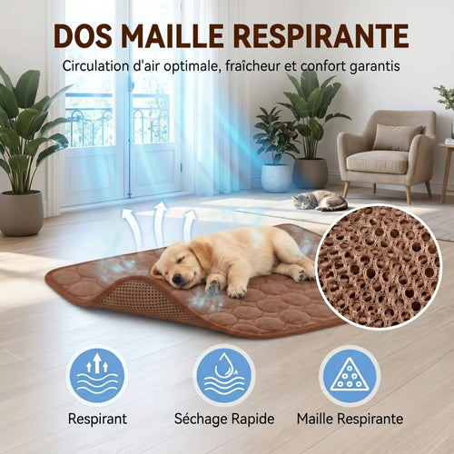 https://cdn.dropmagic.ai/medias/4ed25c2e-7cf6-4230-9c33-5ff5b277de6b.webp